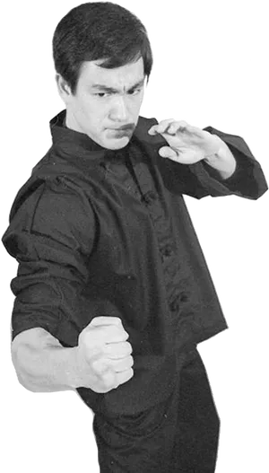 Bruce Lee Martial Arts Pose PNG image