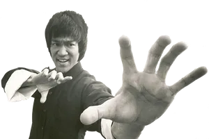 Bruce Lee Martial Arts Pose PNG image