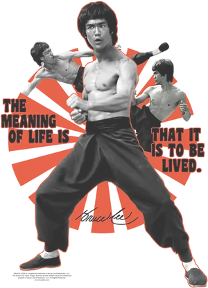 Bruce Lee Meaningof Life Poster PNG image