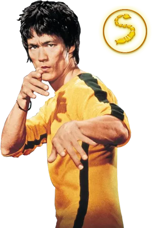Bruce Lee Yellow Jumpsuit Pose PNG image