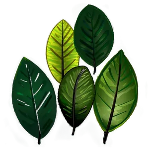 Brush Stroke Leaves PNG Fmv
