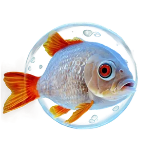 Bubble Eye Goldfish PNG Ule82