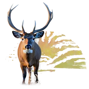 Buck At Sunrise Png 18 PNG image