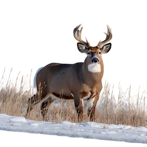 Buck In Snowstorm Png 06252024 PNG image