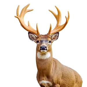 Buck With Autumn Vibes Png 06252024 PNG image