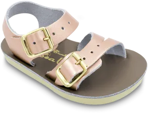 Buckled Pink Sandal Isolated PNG image