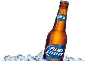 Bud Light Bottle Chilledon Ice