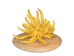 Buddha Hand Citron Fruit Sculpture PNG image