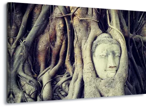 Buddha Head Entwinedin Tree Roots PNG image