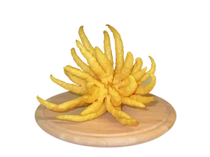 Buddhas Hand Citron Fruit PNG image