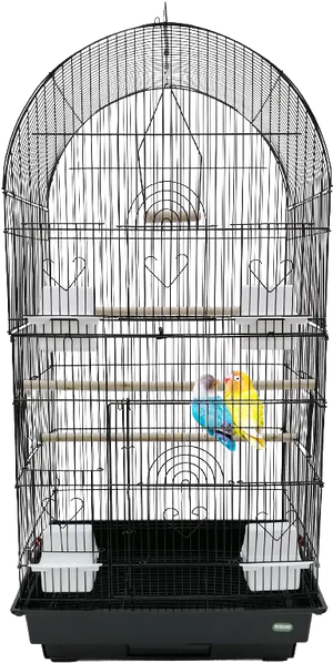 Budgiein Cage Home PNG image