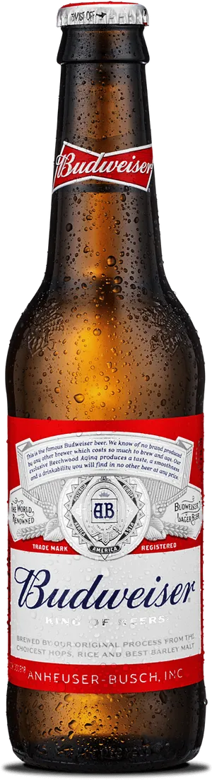 Budweiser Beer Bottle Condensation PNG image