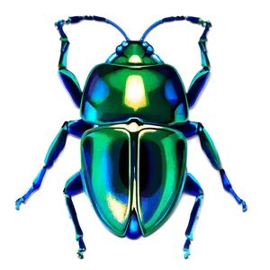 Bug Artwork PNG Xuf92 PNG