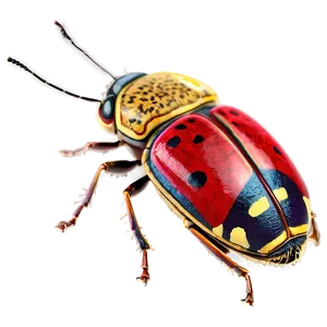 Bug Clipart PNG 30