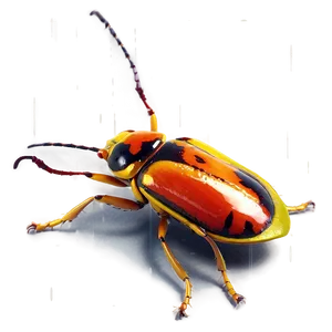 Bug Closeup PNG Ybh