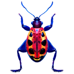 Bug Collection PNG 91