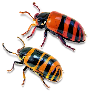 Bug Collection PNG Ead