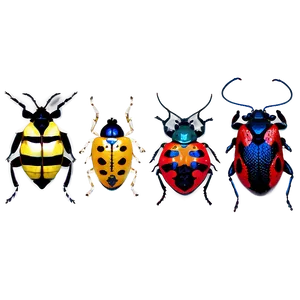 Bug Collection PNG Lab