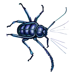 Bug Drawing PNG Pid38 PNG