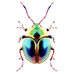 Bug Icon PNG Kly15