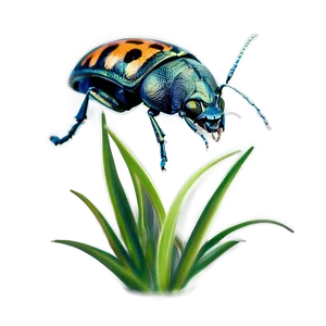 Bug In Grass PNG Rtt PNG