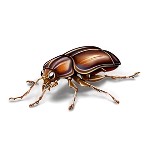 Bug Outline PNG 28