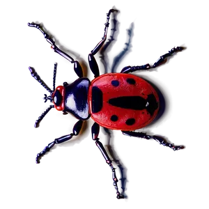 Bug Pattern PNG 70