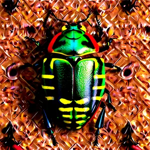 Bug Texture PNG Bjt PNG