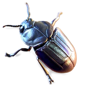Bug Texture PNG Ljk49 PNG