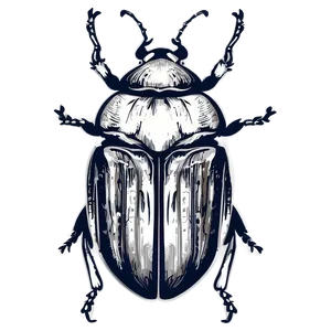 Bug Vector PNG Tpa