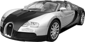Bugatti Veyron Side View