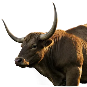 Bull Head In Nature PNG 06132024