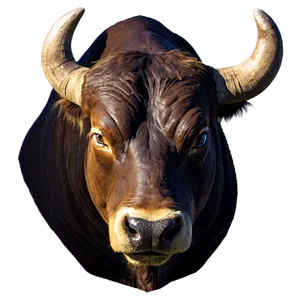 Bull Head With Text PNG Vtf