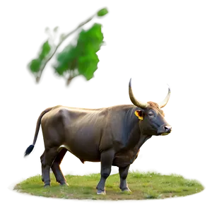 Bull In Nature Scene PNG Psu53
