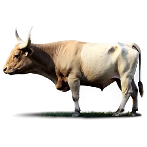 Bull On The Prairie PNG Rkw PNG