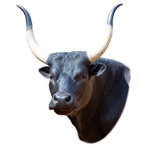 Bull Profile Picture PNG Vho55