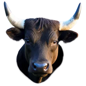Bull Profile Picture PNG Ykp
