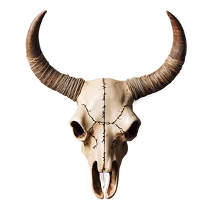 Bull Skull And Barbed Wire Png Fyi75 PNG image