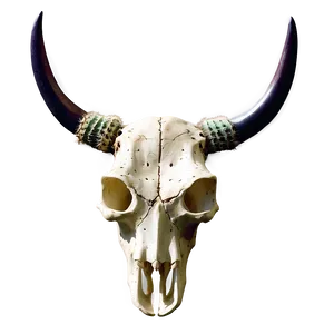 Bull Skull And Cactus Png 06122024 PNG image