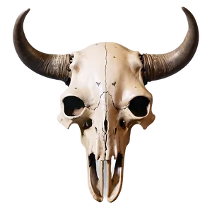 Bull Skull And Feathers PNG Xne51
