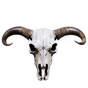 Bull Skull And Full Moon PNG 06122024
