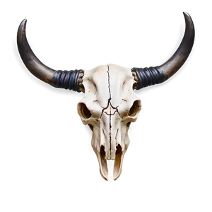 Bull Skull Illustration Png 06122024 PNG image