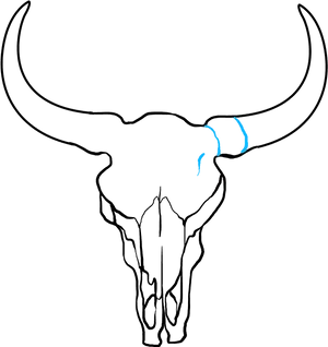 Bull Skull Line Art PNG