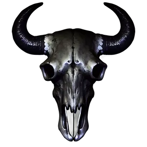 Bull Skull On Black Background PNG 78