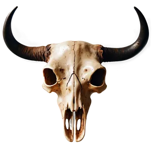 Bull Skull On Black Background PNG Iih PNG