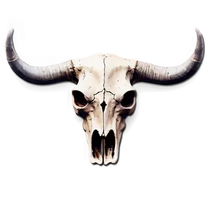 Bull Skull On Vintage Paper Png Ghx PNG image