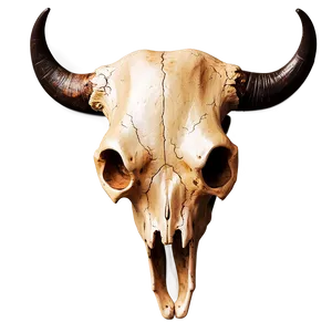 Bull Skull On Wood Texture PNG 26 PNG