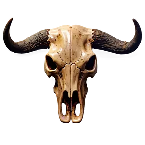 Bull Skull On Wood Texture Png 51 PNG image