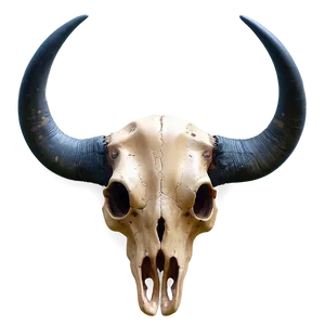 Bull Skull On Wood Texture Png Cwj PNG image