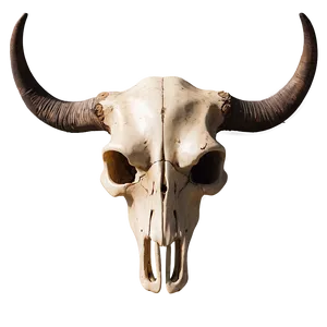 Bull Skull With Crossed Arrows PNG Pot86 PNG